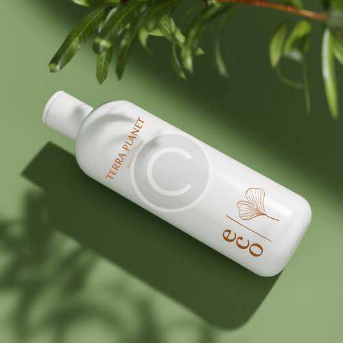 Sulfate-Free Shampoo